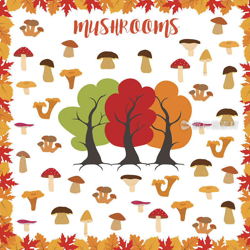 蘑菇，秋季图案，框架由树叶制成。矢量插图。