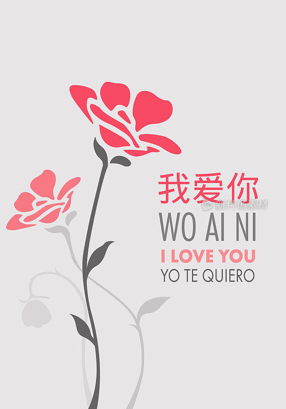 《我爱你》用英语、西班牙语和中国普通话写成，背景上点缀着粉色和灰色的花朵