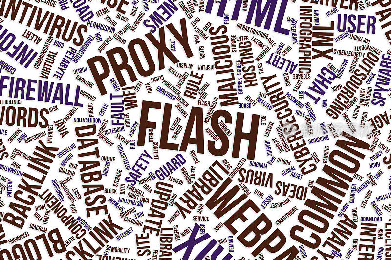 Flash，用于商业、信息技术或IT的概念词云。