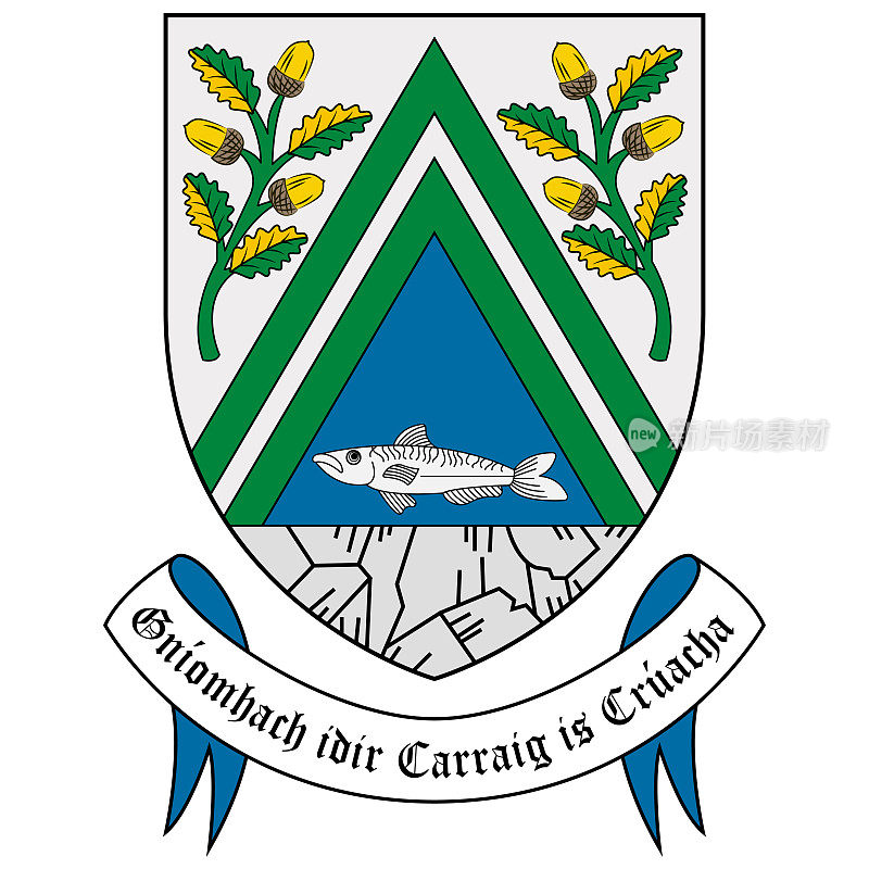 爱尔兰灰色石城的盾徽