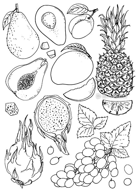 的水果。新鲜食物。菠萝，椰子，桃子，猕猴桃，鳄梨，柠檬，橙子，香蕉色线在白色的背景上画。矢量插图。