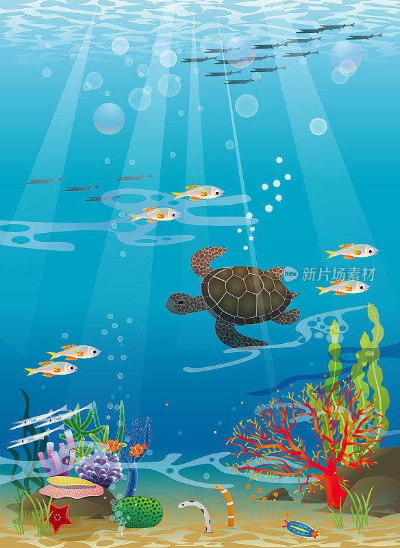 插图中的海龟，鱼儿在美丽的大海里游泳