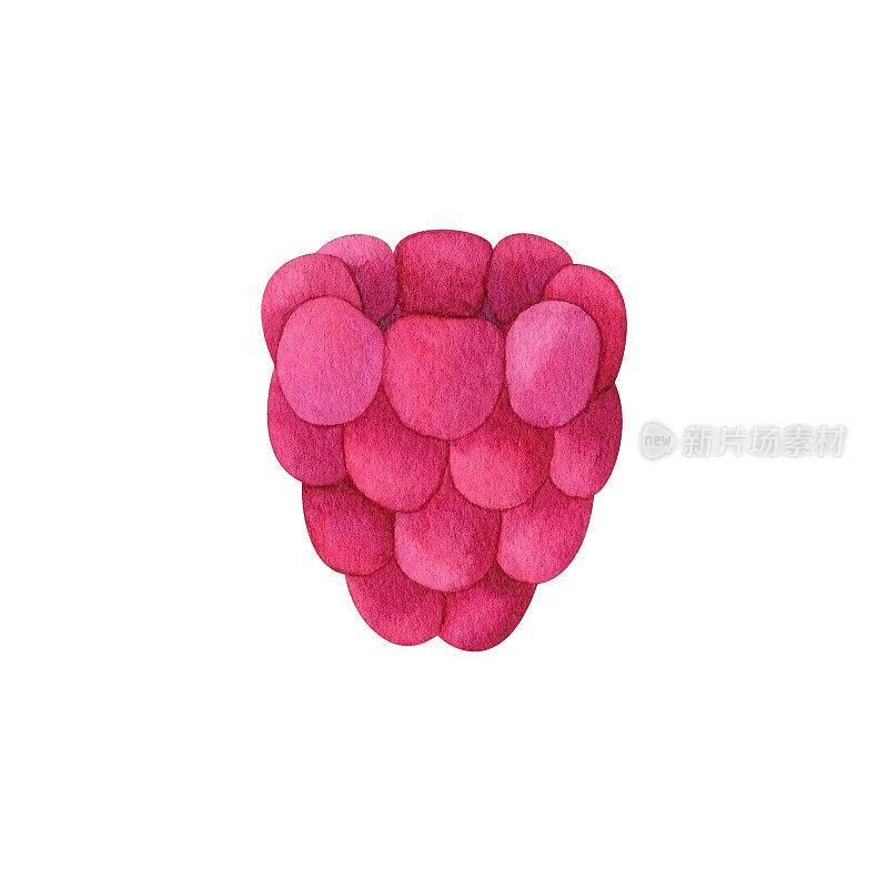 水彩树莓浆果。多汁的粉红色覆盆子的生动插图。剪纸艺术手绘