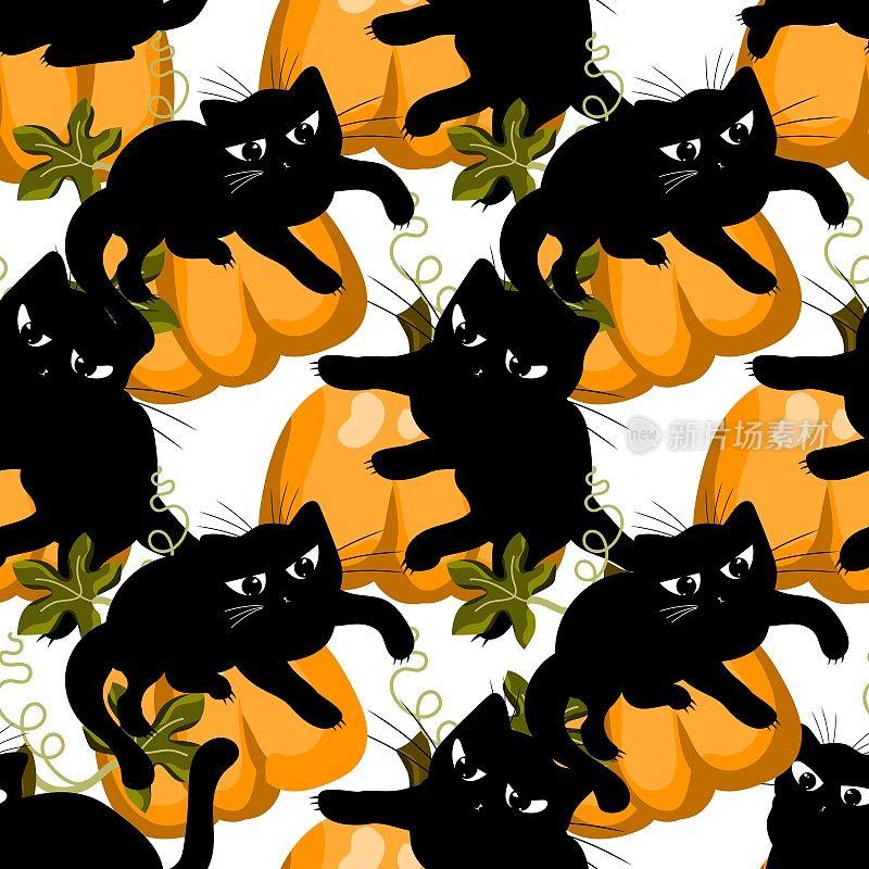 一组黑猫。家养小猫和南瓜。黑色的小猫剪影。