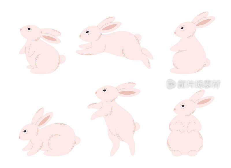一组可爱的小白兔。动物,兔子。兔年。复活节兔子。手绘矢量图