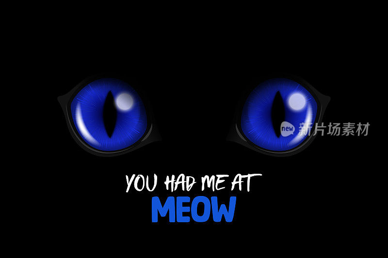 你一叫我就被你征服了。矢量3d现实蓝色圆发光猫的眼睛黑猫。深黑背景特写中的猫Look。发光的猫或豹的眼睛