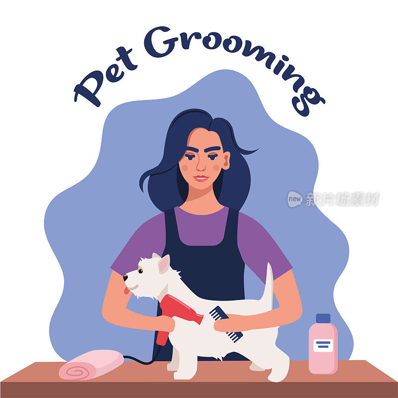 女理发师在宠物美容院为狗梳理毛发。手持吹风机和梳子的妇女正在吹干狗的毛。宠物美容沙龙。矢量插图。