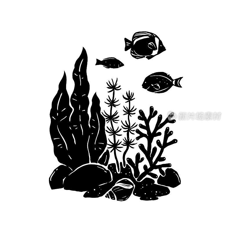 鱼、海藻、贝壳和珊瑚的黑白剪影。自然手绘元素的设计。水族馆用水下植物和鱼类