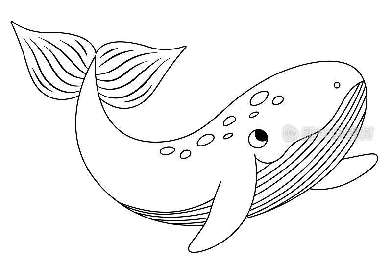 矢量黑色和白色的鲸鱼图标。下面的海线插图与可爱有趣的鱼。海洋动物剪贴画。卡通水下或海洋着色页孤立的儿童在白色背景