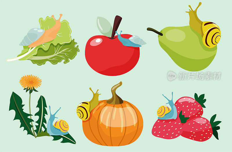 五颜六色的手绘蜗牛坐在水果和蔬菜上。