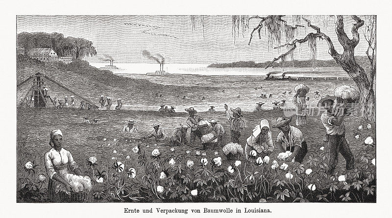 美国路易斯安那州的棉花收获，木版雕刻，1894年出版