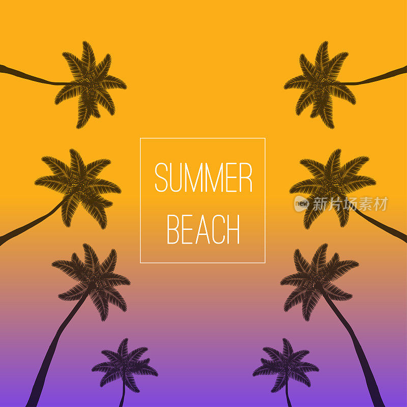 夏天棕榈滩。手掌的背景。棕榈树与文字夏季棕榈滩上彩色的背景