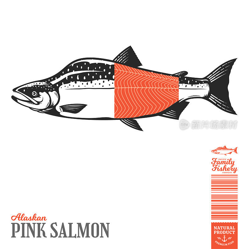 向量野生粉红色鲑鱼插图
