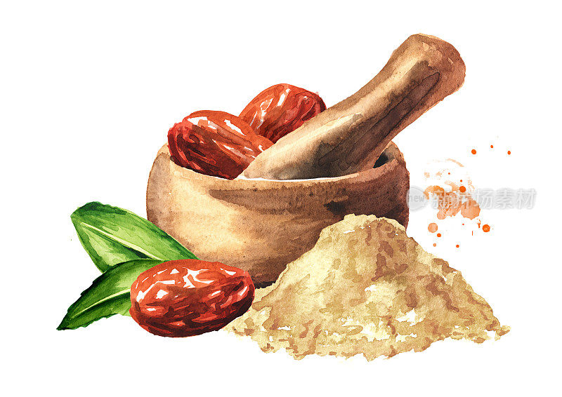 干乌纳abi果，酸枣，研钵和枣粉。手绘水彩插图孤立的白色背景