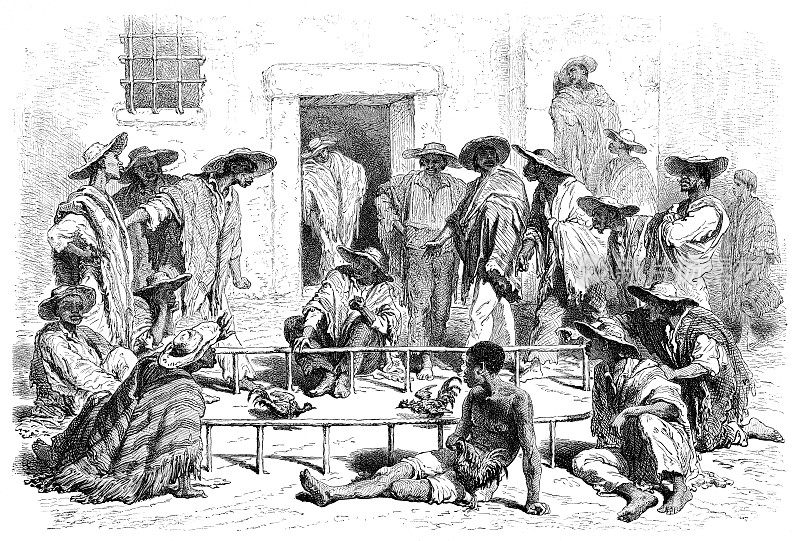 哥伦比亚新格拉纳达斗鸡事件，1876年