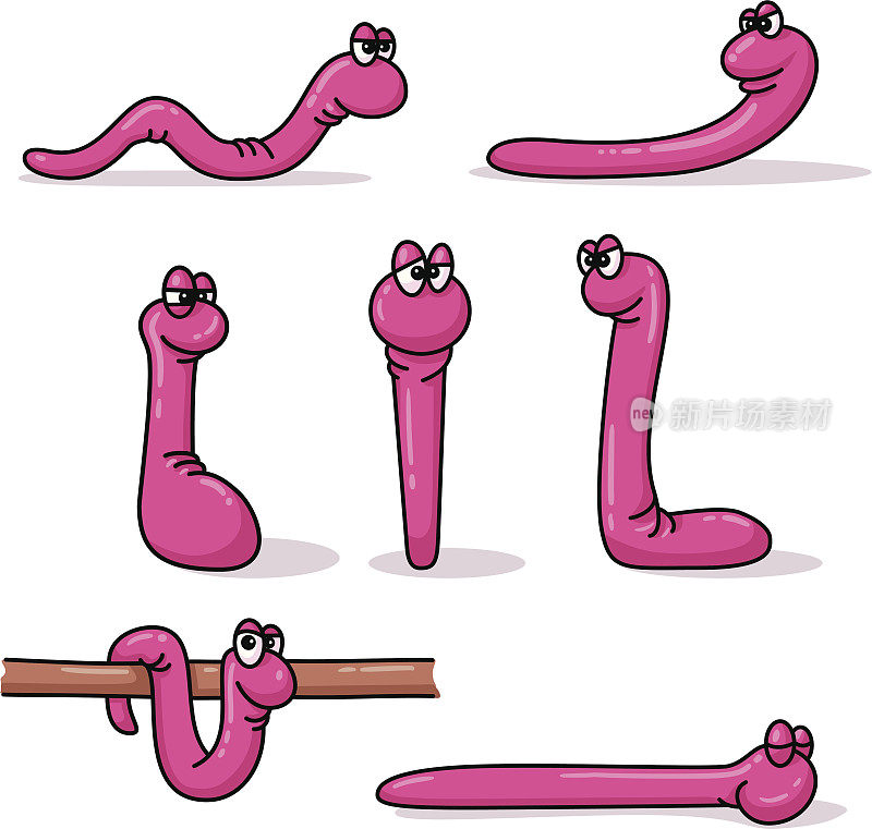 有趣的蠕虫