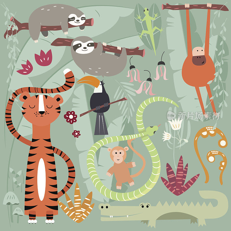 收集可爱的雨林动物，老虎，蛇，树懒，猴子，矢量插图
