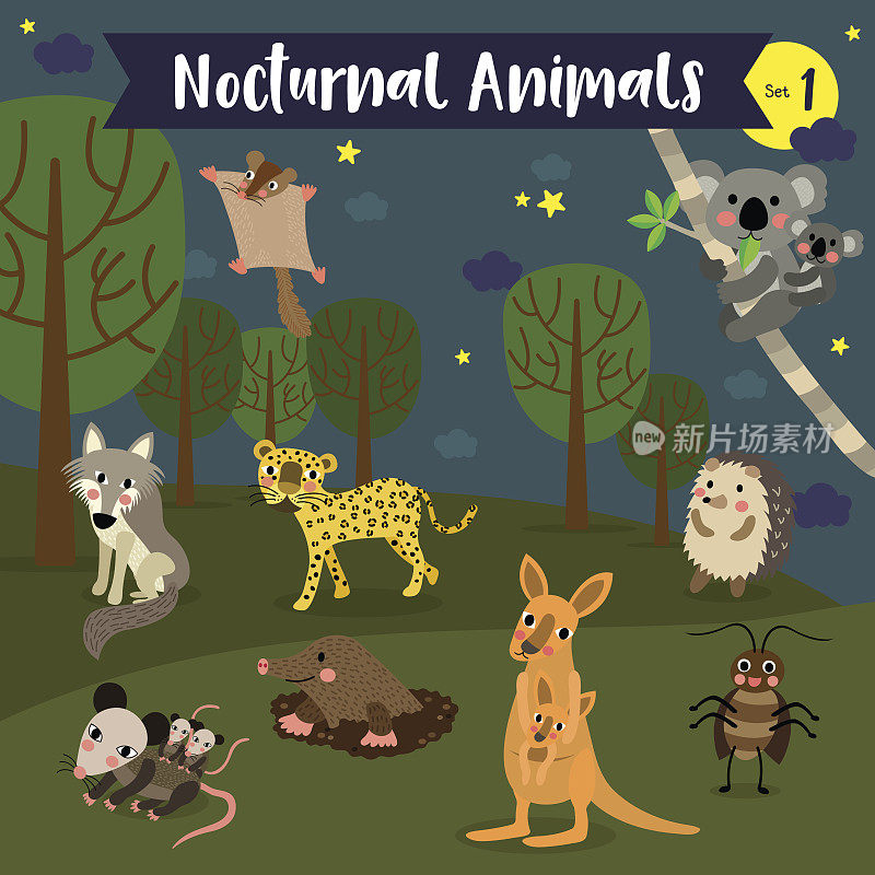 夜间动物卡通森林背景。矢量插图。组1