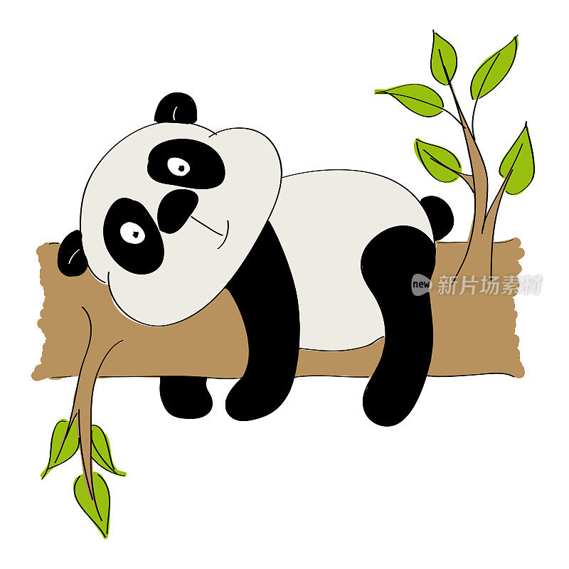 可爱的熊猫躺在树枝上-原创手绘插图