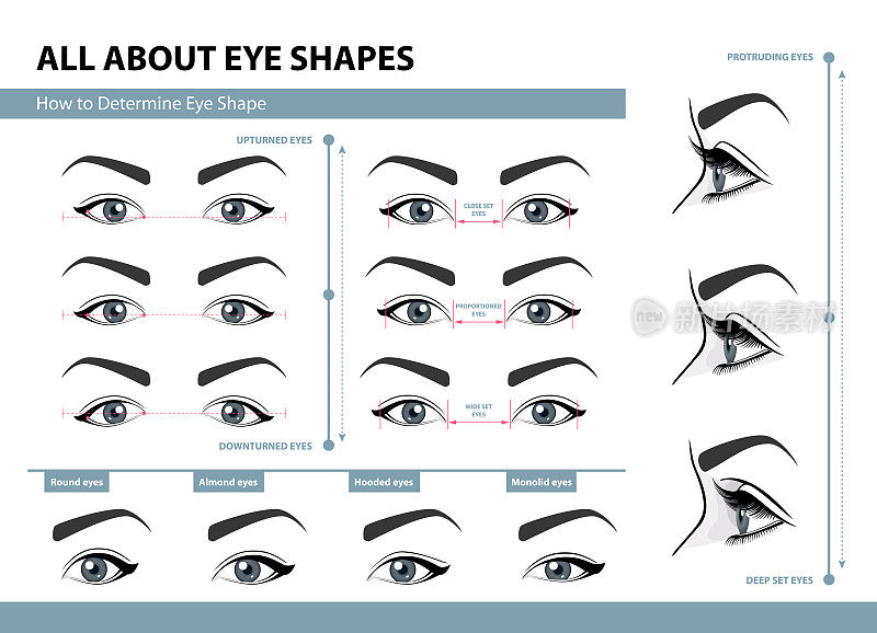 如何确定眼型。不同类型的女性眼睛。一套矢量插图与标题。化妆的模板。培训的海报
