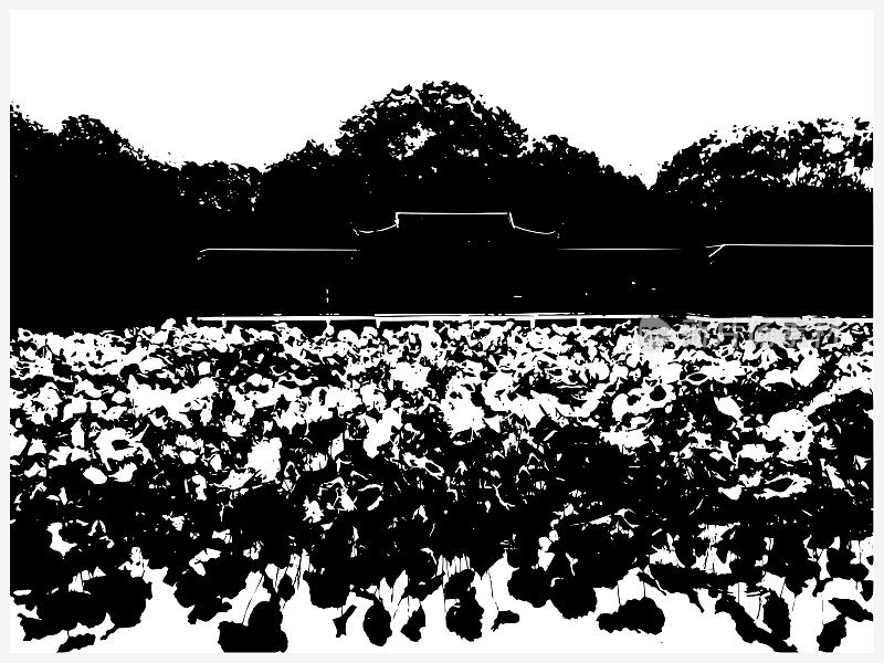 黑白木刻风格的乡村风光，河流和百合庭院