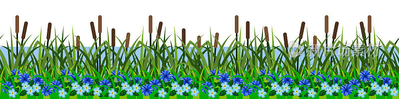 草木芦苇，河畔草原景观，蓝色花朵。无缝重复图案，绿色夏季草坪，海岸线池塘或湖泊。孤立在白色背景。矢量插图。