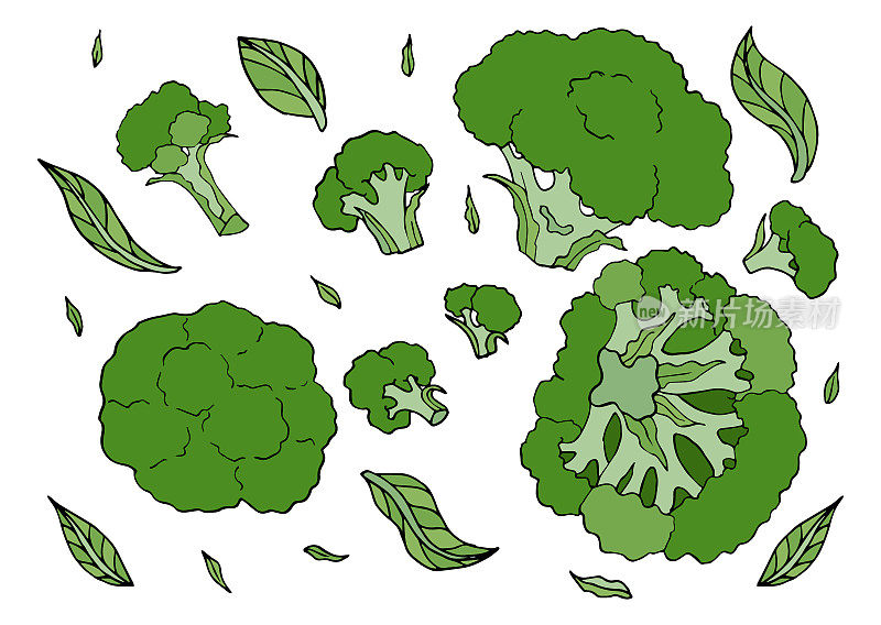 花椰菜可食用卷心菜素食食品