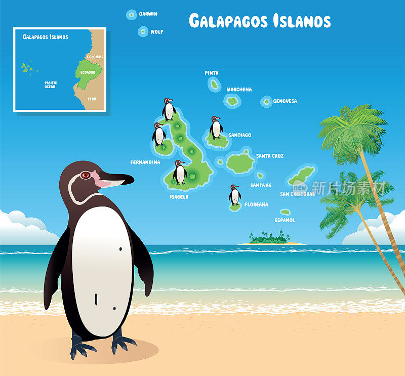 加拉帕戈斯企鹅和加拉帕戈斯群岛