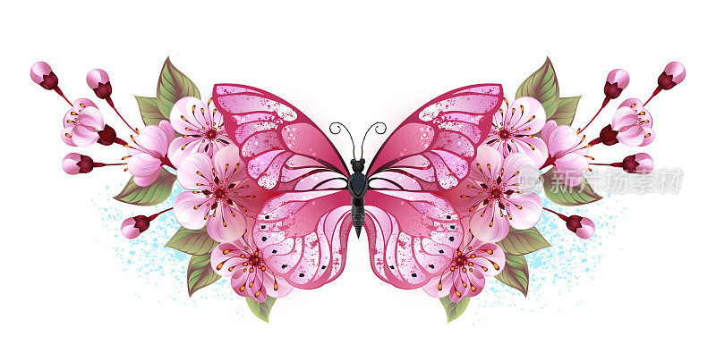 粉红蝴蝶和樱花