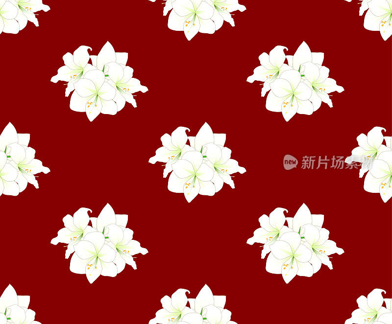 红色背景上的白色孤挺花