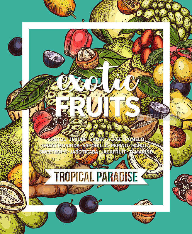 异国情调的热带水果小品食品横幅设计