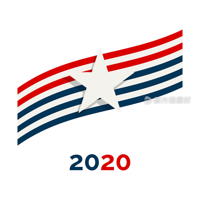 美国2020年大选设计元素