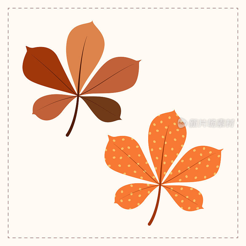 卡通图标的秋天栗叶。矢量EPS10插图孤立在白色背景。