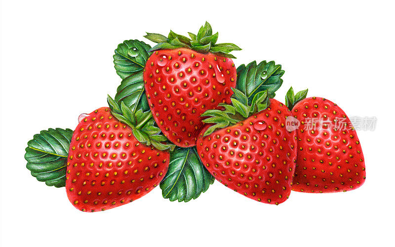 草莓集团
