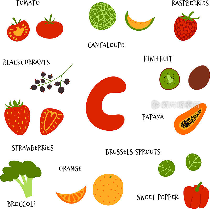 收藏富含维生素c的果蔬手绘矢量卡通平面风格