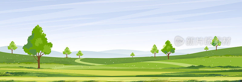 春天的时候，阳光明媚的日子。夏天的乡村风景，绿色的田野，白云和蓝天的背景。乡村与山，草原，阳光在早晨，向量自然风景卡通背景
