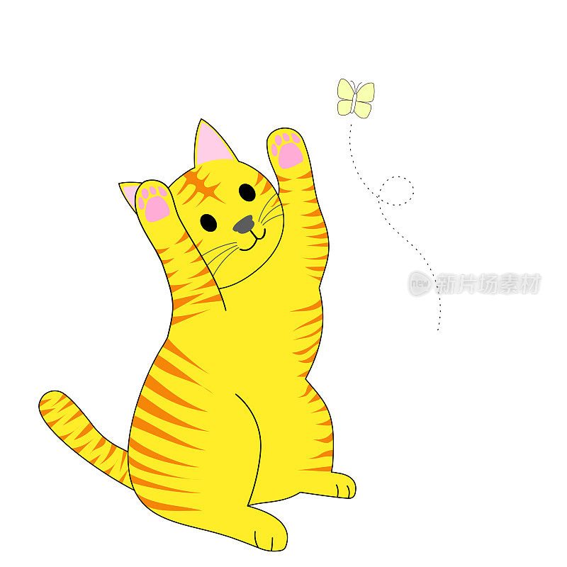一只在白色背景下玩耍的虎斑猫和飞翔的黄蝴蝶
