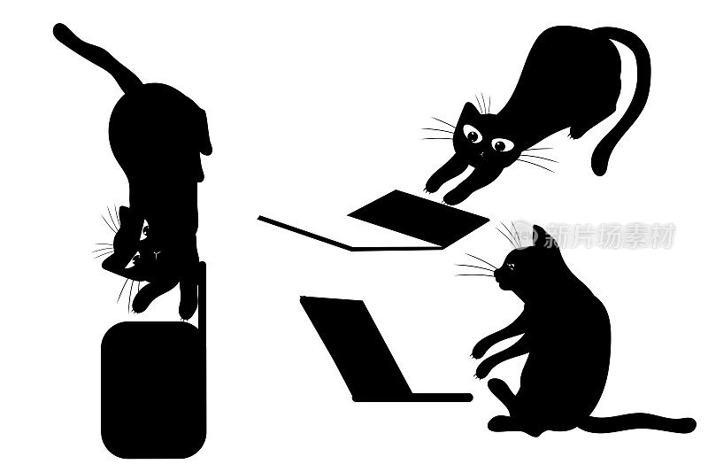 一群带着笔记本电脑的猫。国内的小猫。黑色的猫的剪影。纹身,打印。