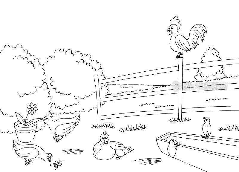 有趣的鸡母鸡农场鸟院子图形黑白景观素描插图矢量