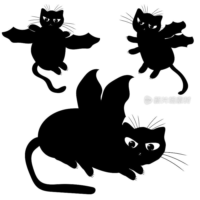 的猫。国内的小猫。黑色的小猫剪影。