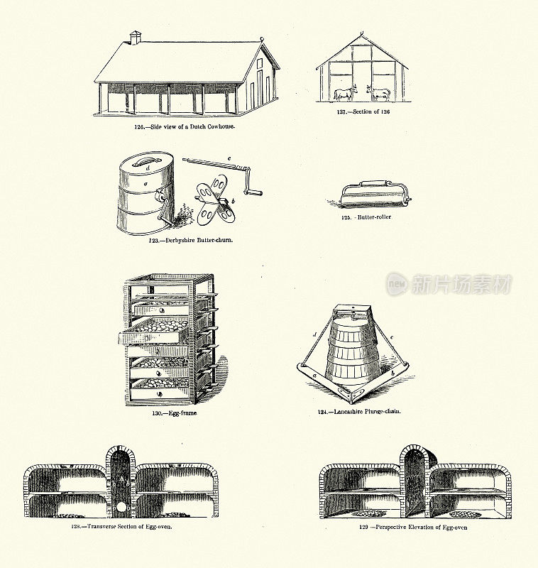 复古农业农场插图，荷兰牛棚，黄油搅拌器，鸡蛋烤箱，兰开夏郡的链条，19世纪50年代