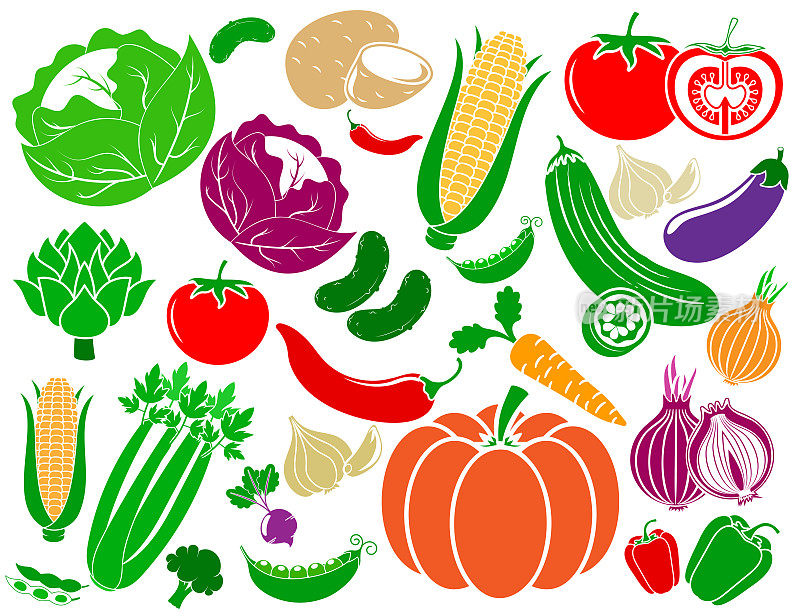 蔬菜插图集。