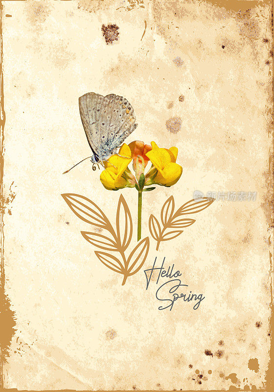 点画效果中的蝴蝶黄野花