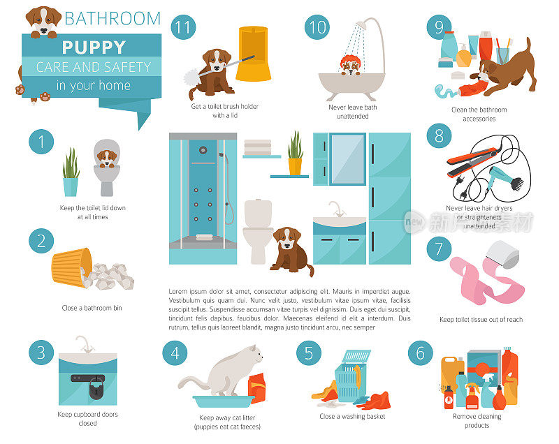 在你的家里照顾小狗和安全。浴室。宠物狗训练信息图设计