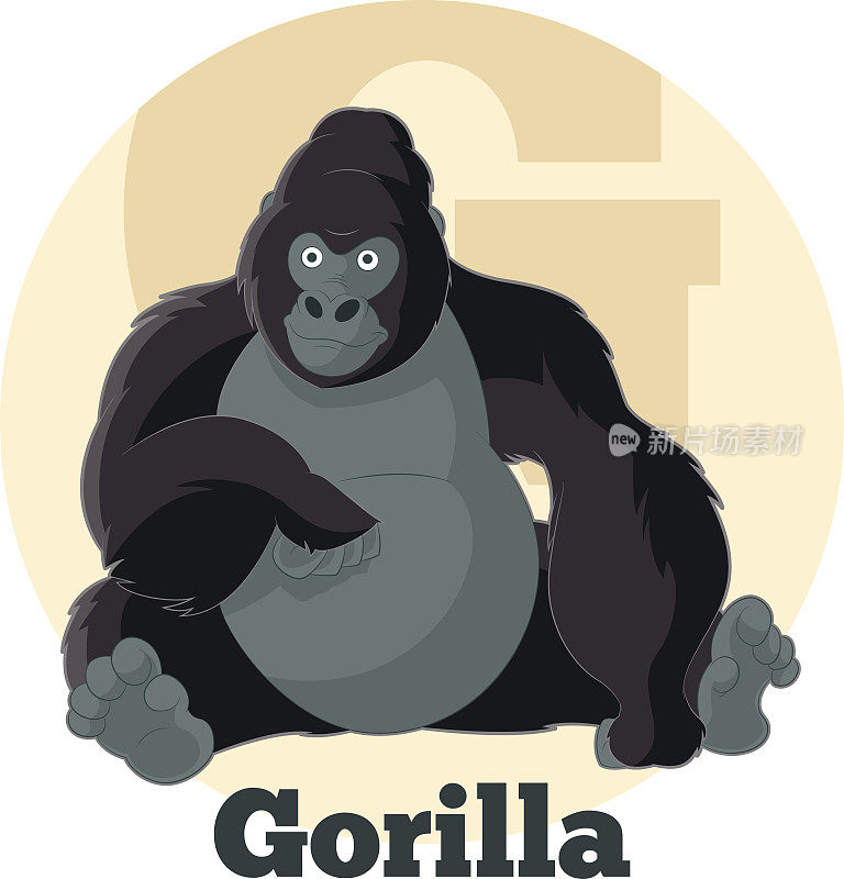 ABC卡通Gorilla2