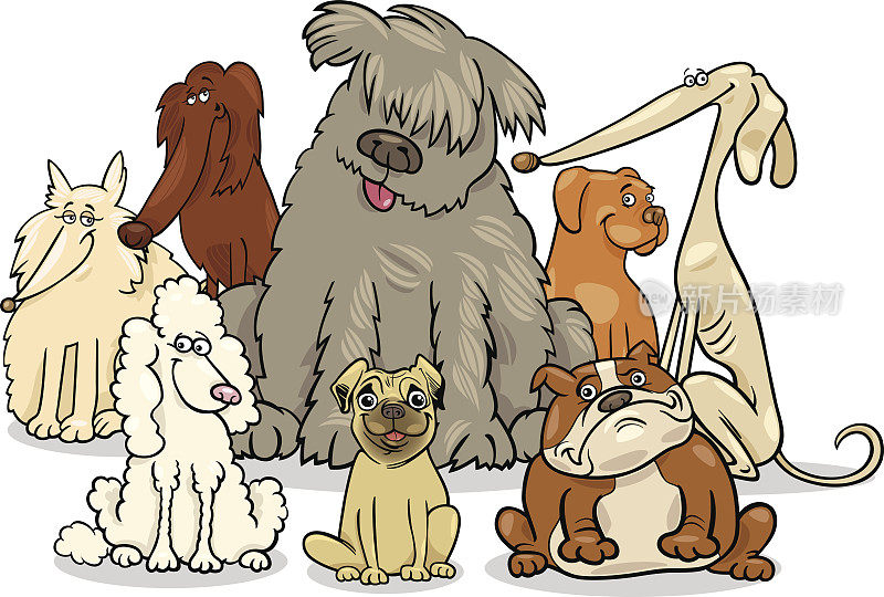 卡通纯种犬组