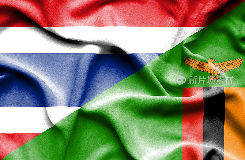 挥舞着津巴布韦和泰国的旗帜