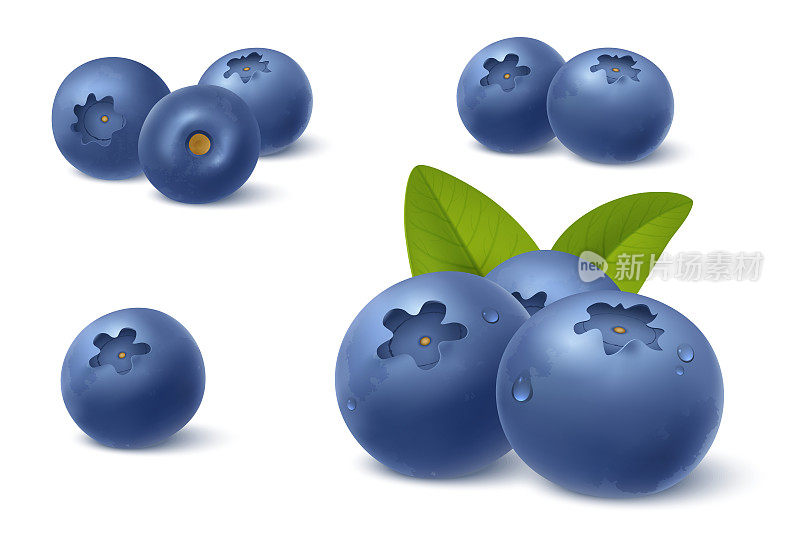 逼真的蓝莓在3d风格。新鲜成熟的蓝莓，绿叶孤立在白色背景上。越桔滴水。糖果、果酱广告设计元素。矢量插图。