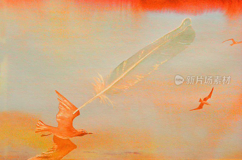 插图画水彩山水鸟、海鸥、海和明亮的鸟羽毛在傍晚红色背景的夕阳射线