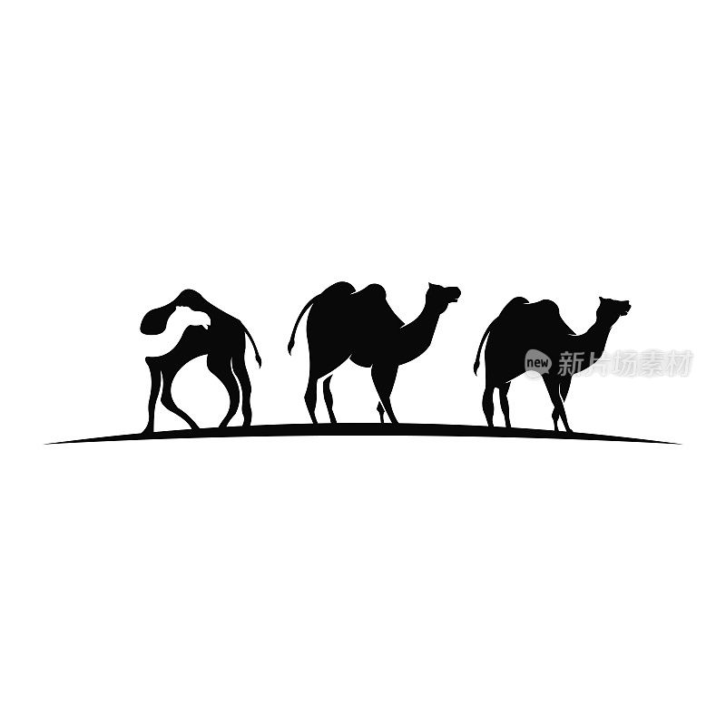 轮廓的骆驼